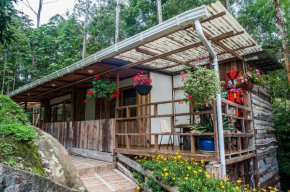 Hotel Selva Verde